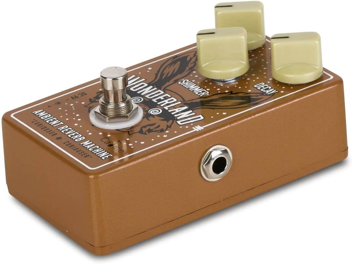 Pedal Chorus Reverb